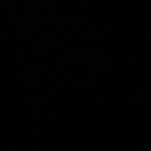 Meet your Posher, Alejandro